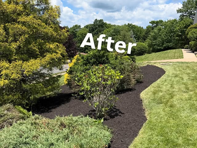 Front yard planting bed with a crisp curved edge and fresh mulch