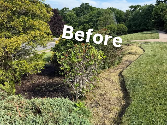 Front yard planting bed with a rough, uneven edge before work