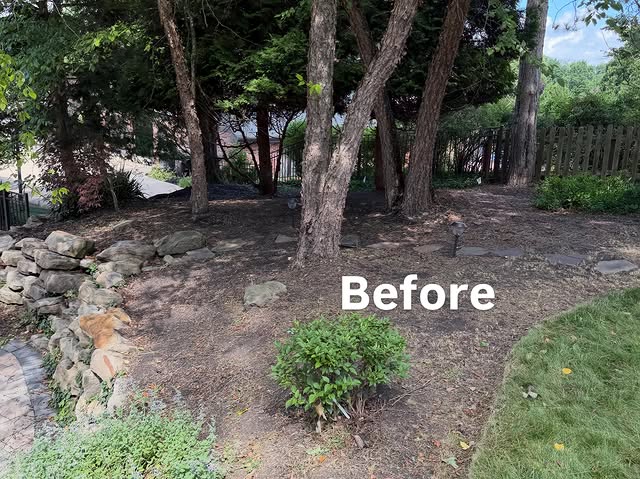 Bare wooded landscape area beside a stone wall before cleanup